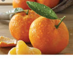 the tangerines
