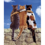 Friend group =3