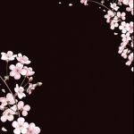 'Blossom'
