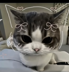 Cat charm