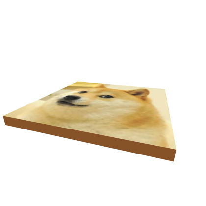 block DOGE
