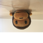 Monkey Playzs