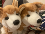 Sigma doge group