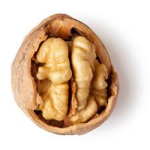 Walnut Productions