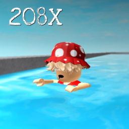 208X