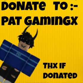 Donate Here To Support Pat GamingX