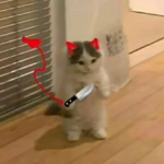 彡SxA