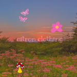 »citron clothing«