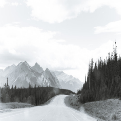 Black n' White Landscape Picture Roblox decal