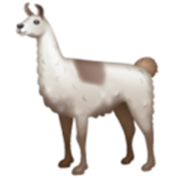 My Fluffy llamas's Place Number: #