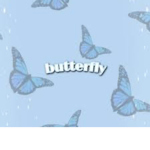 Blue Butterfly Vibezz