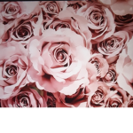 Pastel Rose's