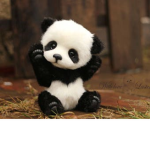 panda hero's
