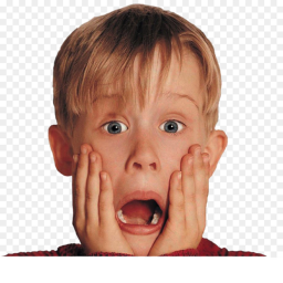 Home Alone Simulator 1,2