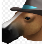 Horse Fan Squad