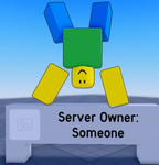 Server owner