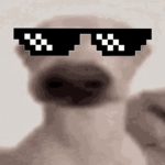 Rayz Games