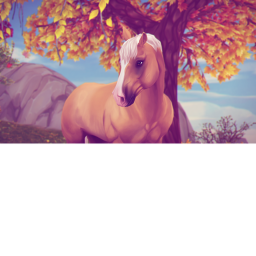 Wild West Horses
