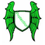 The Combat Infantry: Protection Corps