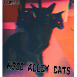 HOOD ALLEY CATS
