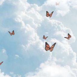 🦋
