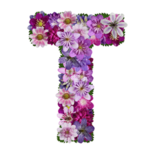 Teagan_Playz Group