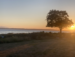 Sunset In Seattle