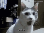 Misuthomas
