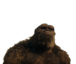 El Monke gng