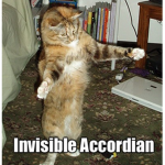 Scaredy Catz