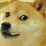 It's The Doge Group!