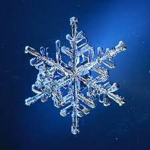 Iced Cold Productions