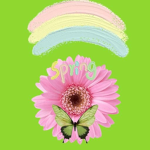 Power flowers