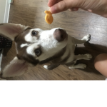 crackies luv