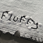 /team_fluffy