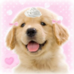 Pupcupss