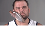 Official Fish Slaps