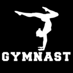 Gymnastics4 life