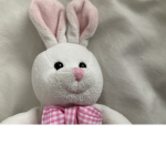 LittelBunny squad