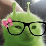 Los fans de los animales