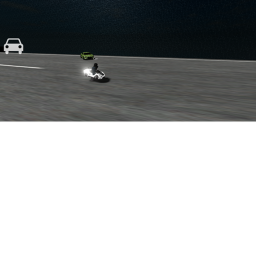 Race