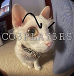 CO3PLAY3RS,