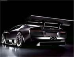 Lamborghini Forever