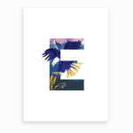 Pro Eagle Clothing