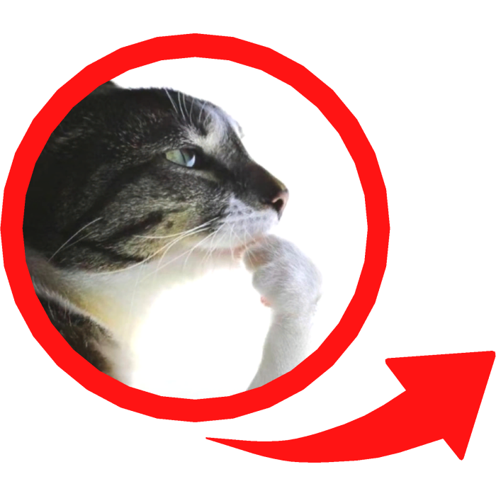Thinking Cat Meme Red Circle