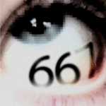Shop 667