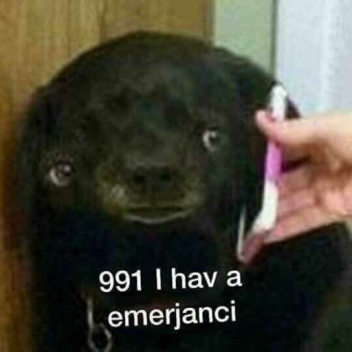 I LIKE TO MOVE IT MOVE IT