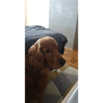 don't tap to me