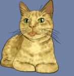 Cats United232