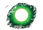 Fight The Corruption